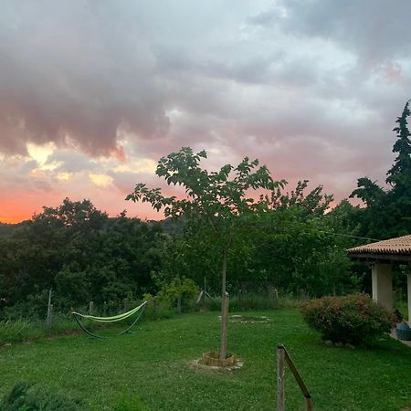 Agriturismo Il Covo Del Solengo Valtopina Eksteriør bilde
